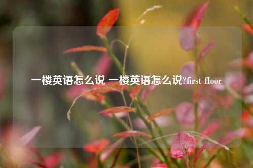 一楼英语怎么说 一楼英语怎么说?first fIoor