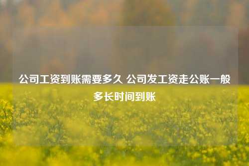 公司工资到账需要多久 公司发工资走公账一般多长时间到账