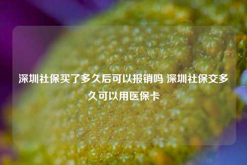 深圳社保买了多久后可以报销吗 深圳社保交多久可以用医保卡