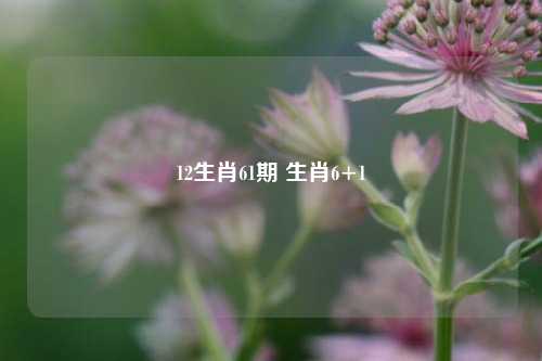 12生肖61期 生肖6+1