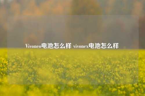 Vivoneo电池怎么样 vivonex电池怎么样