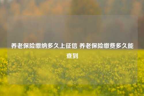 养老保险缴纳多久上征信 养老保险缴费多久能查到