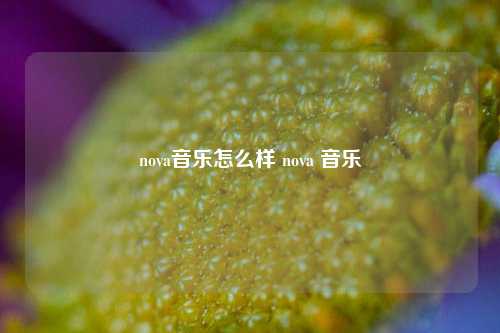 nova音乐怎么样 nova 音乐