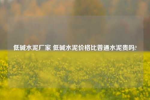 低碱水泥厂家 低碱水泥价格比普通水泥贵吗?