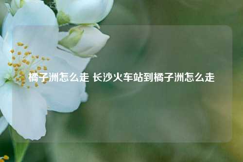 橘子洲怎么走 长沙火车站到橘子洲怎么走