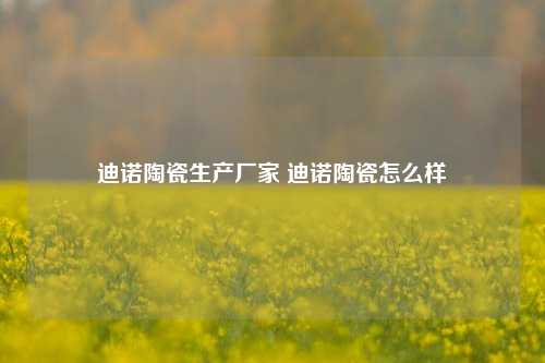 迪诺陶瓷生产厂家 迪诺陶瓷怎么样