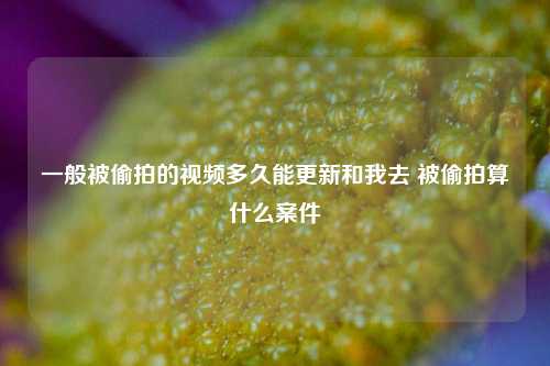 一般被偷拍的视频多久能更新和我去 被偷拍算什么案件