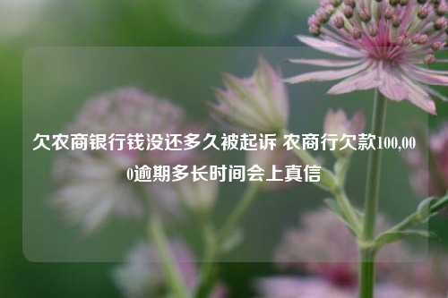 欠农商银行钱没还多久被起诉 农商行欠款100,000逾期多长时间会上真信