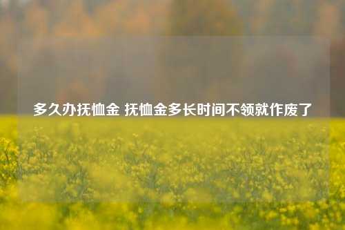 多久办抚恤金 抚恤金多长时间不领就作废了