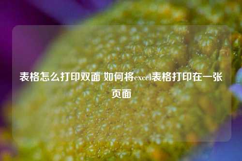 表格怎么打印双面 如何将excel表格打印在一张页面