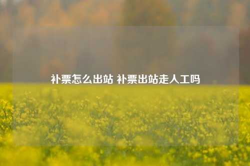 补票怎么出站 补票出站走人工吗