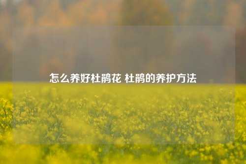 怎么养好杜鹃花 杜鹃的养护方法