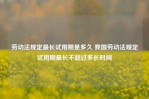 劳动法规定最长试用期是多久 我国劳动法规定试用期最长不超过多长时间