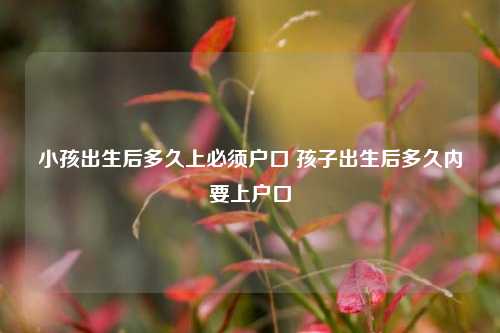 小孩出生后多久上必须户口 孩子出生后多久内要上户口