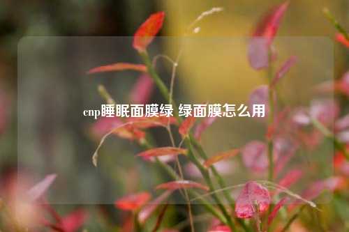 cnp睡眠面膜绿 绿面膜怎么用