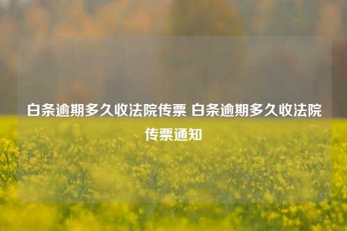 白条逾期多久收法院传票 白条逾期多久收法院传票通知