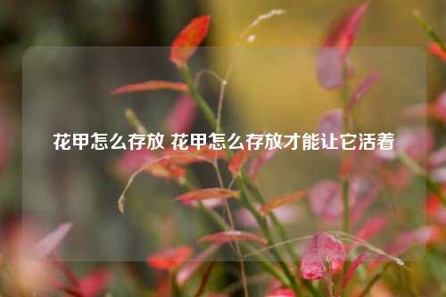 花甲怎么存放 花甲怎么存放才能让它活着