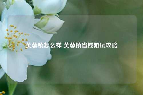 芙蓉镇怎么样 芙蓉镇省钱游玩攻略