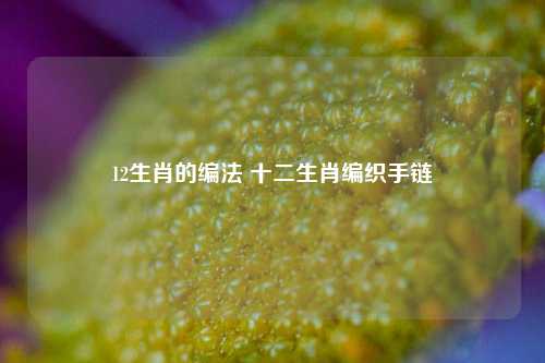 12生肖的编法 十二生肖编织手链