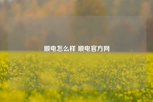 顺电怎么样 顺电官方网