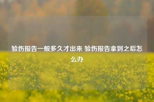 验伤报告一般多久才出来 验伤报告拿到之后怎么办