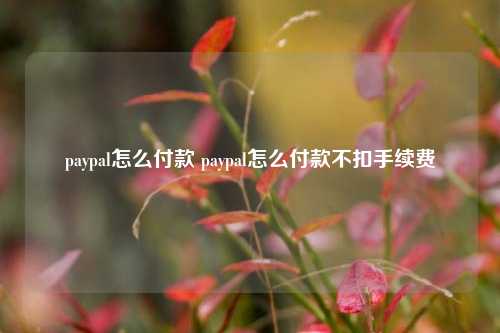 paypal怎么付款 paypal怎么付款不扣手续费