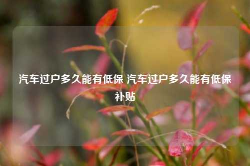 汽车过户多久能有低保 汽车过户多久能有低保补贴