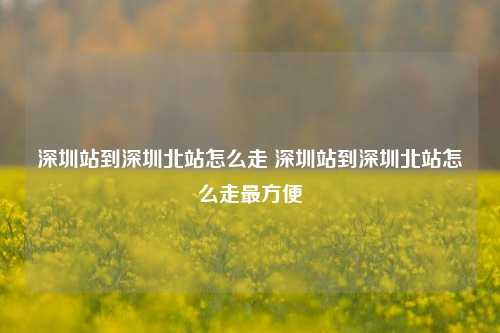 深圳站到深圳北站怎么走 深圳站到深圳北站怎么走最方便