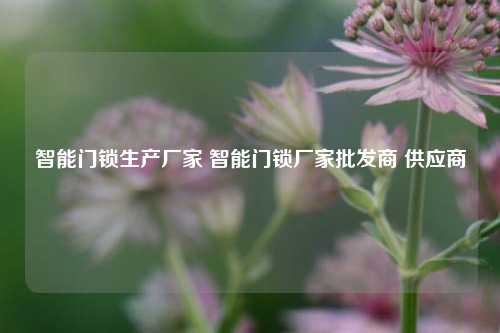 智能门锁生产厂家 智能门锁厂家批发商 供应商